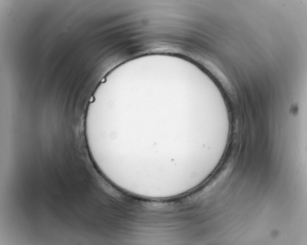 X0000103171281200809192108