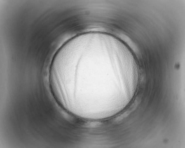 X0000103171282200809192108