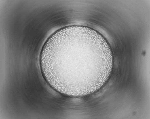 X0000103171283200809192108