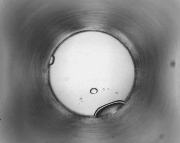 X0000103171284200809192108