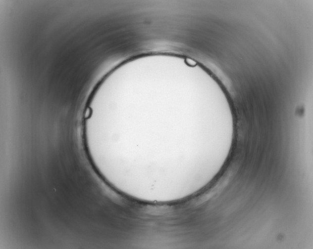 X0000103171285200809192108