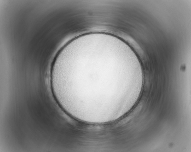 X0000103171286200809192108