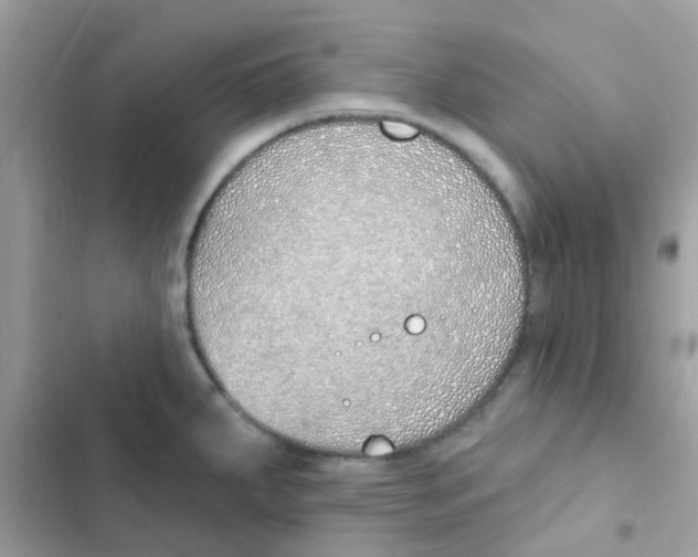 X0000103171287200809192108