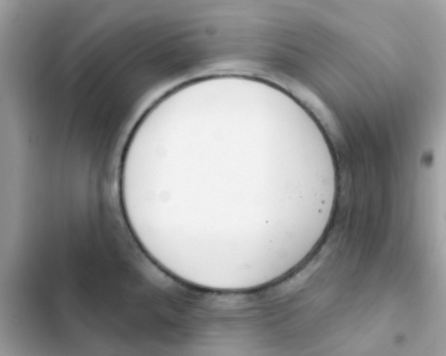 X0000103171288200809192108