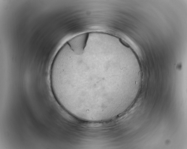 X0000103171291200809192108