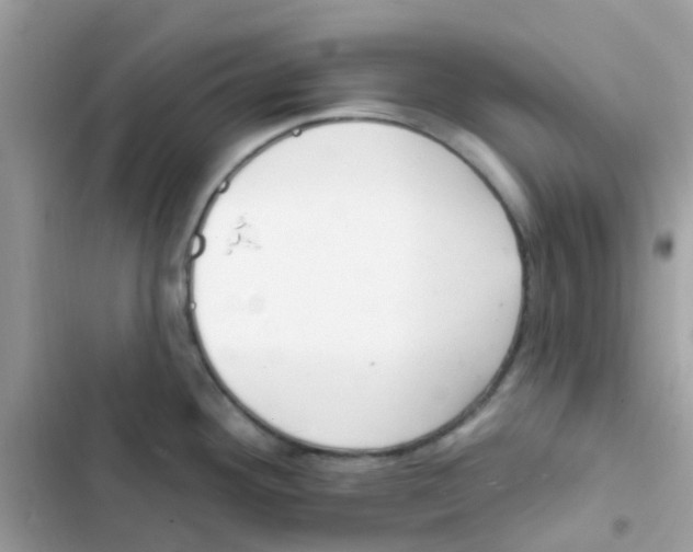 X0000103171292200809192108