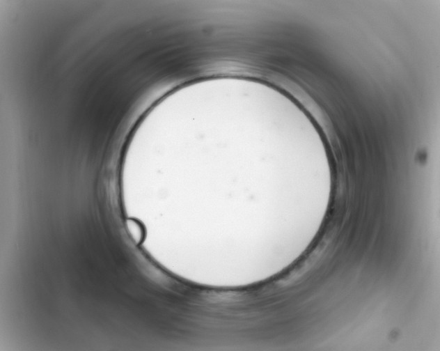 X0000103171293200809192108