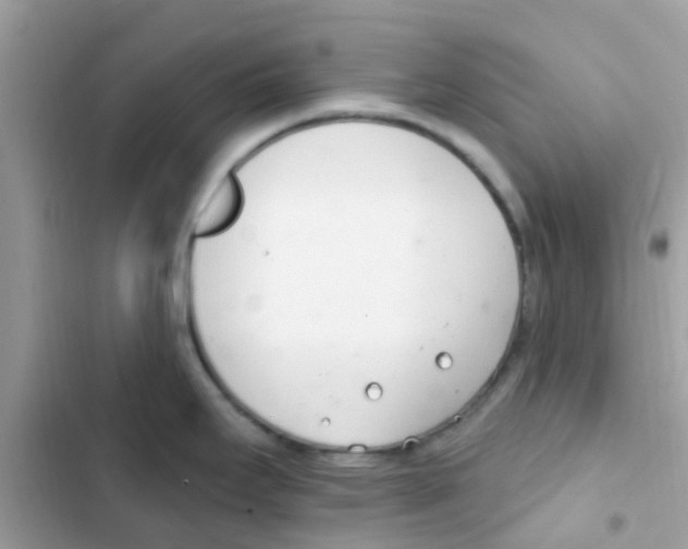 X0000103171295200809192108