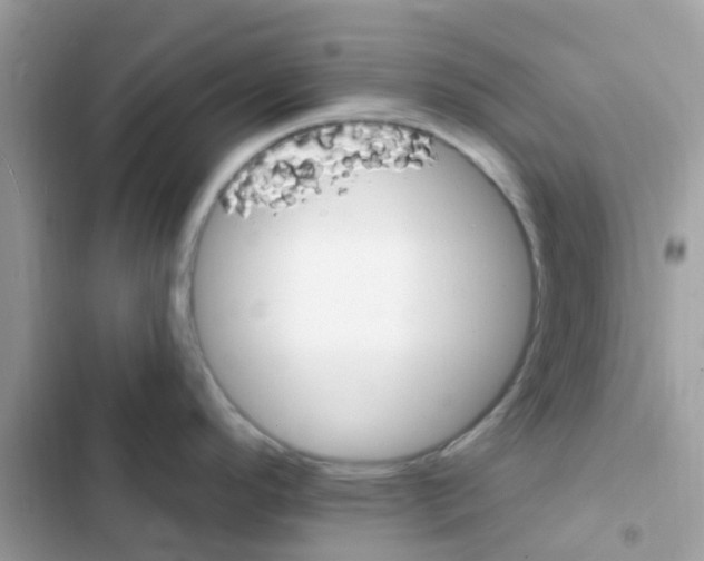 X0000103171296200809192108