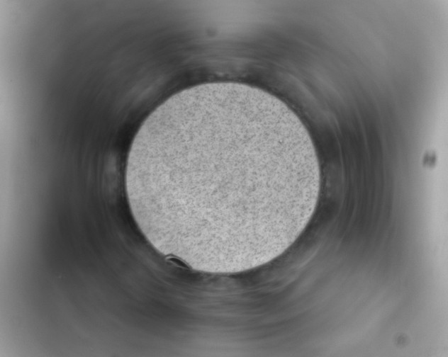 X0000103171298200809192107