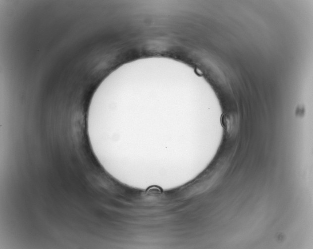 X0000103171299200809192107