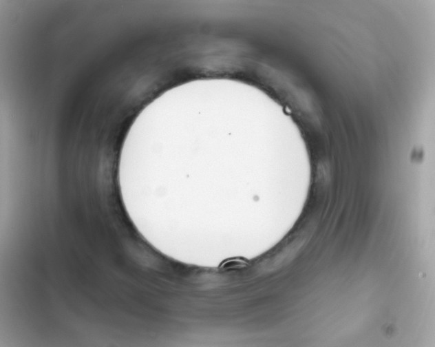 X0000103171300200809192107