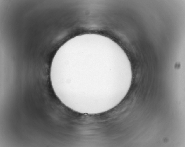 X0000103171301200809192107