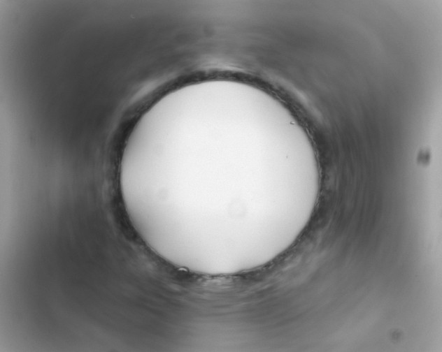 X0000103171303200809192107