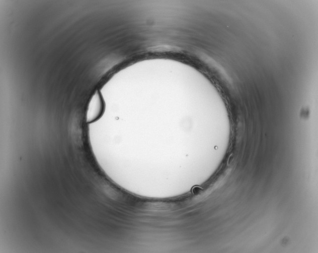 X0000103171305200809192108