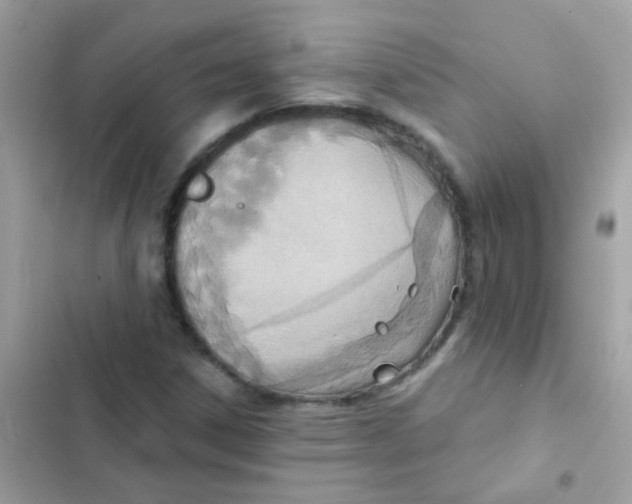 X0000103171306200809192108