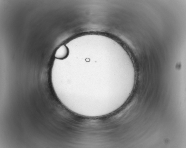 X0000103171309200809192108