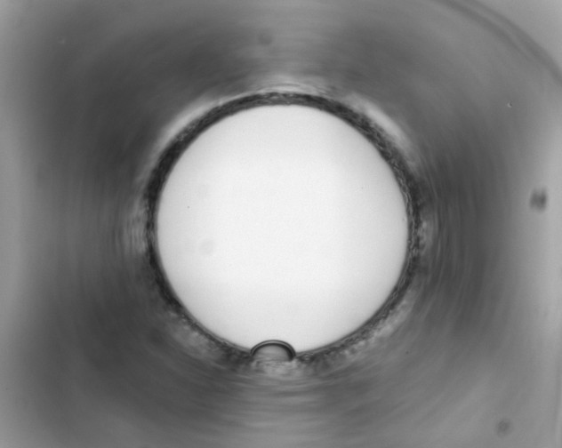 X0000103171310200809192108