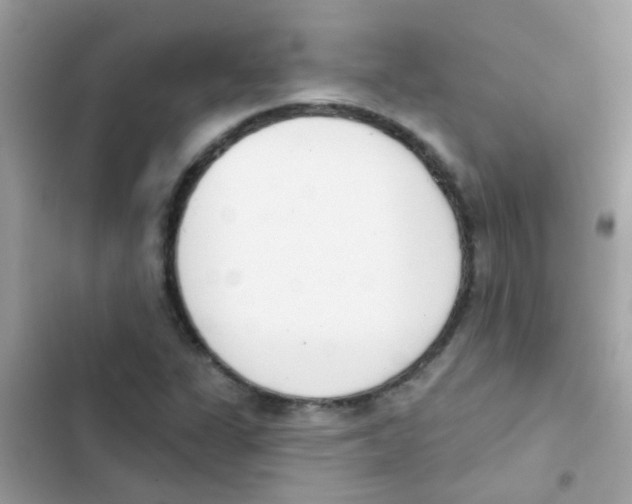 X0000103171311200809192108