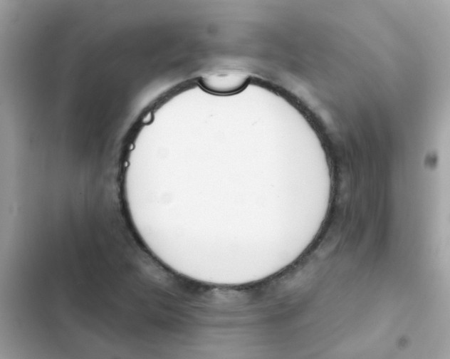 X0000103171312200809192108