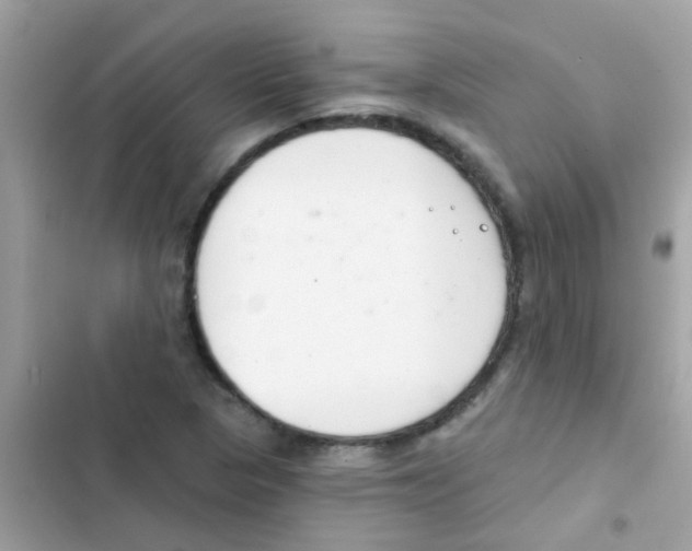 X0000103171313200809192108