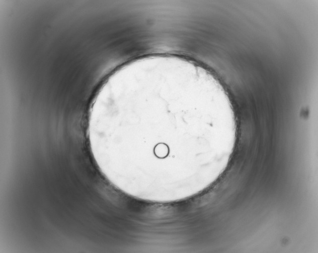 X0000103171314200809192108