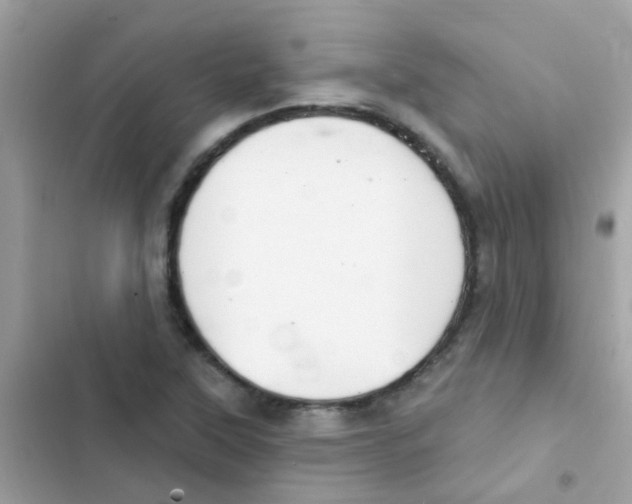 X0000103171315200809192108