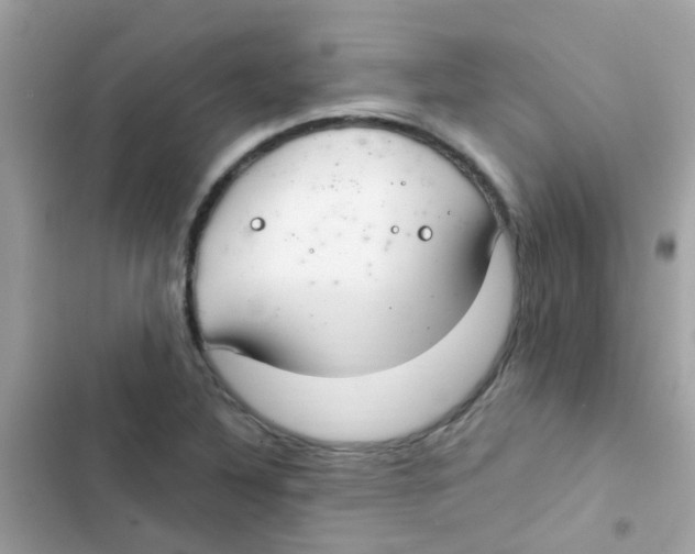 X0000103171316200809192108