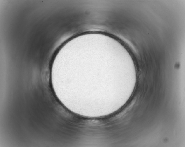 X0000103171317200809192108