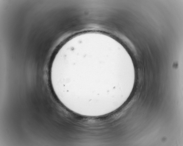 X0000103171318200809192108