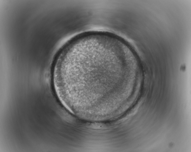 X0000103171319200809192108