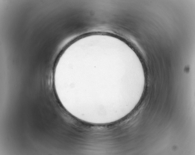 X0000103171320200809192108