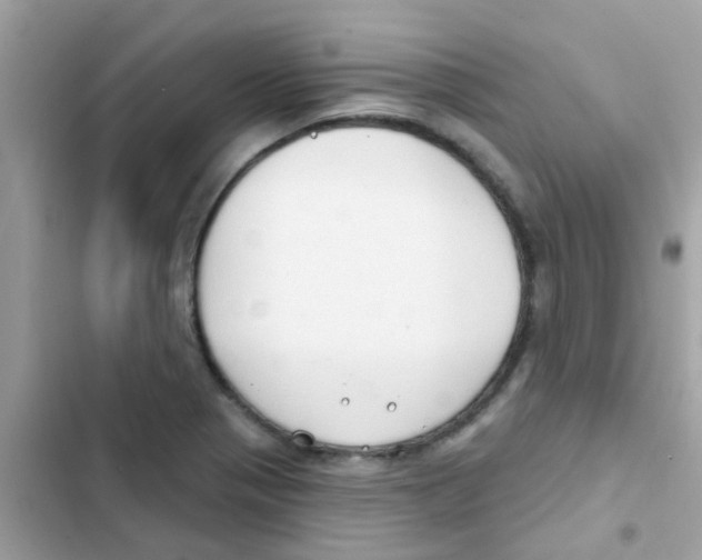 X0000103171321200809192108