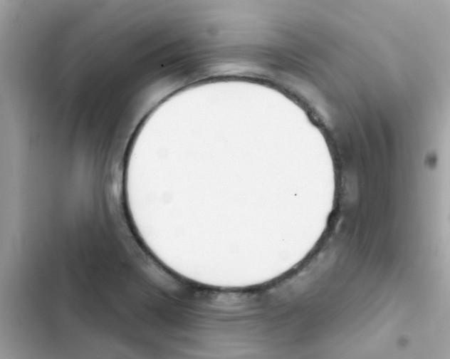 X0000103171322200809192108