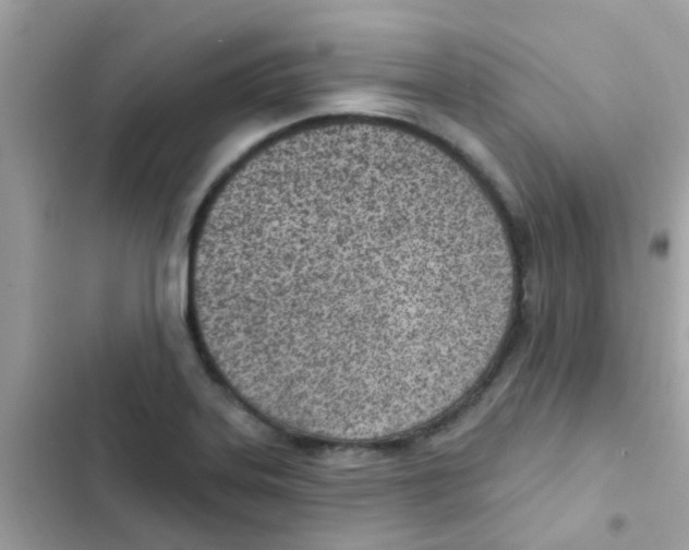 X0000103171323200809192108