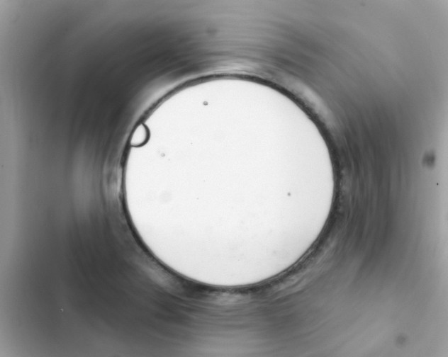 X0000103171324200809192108