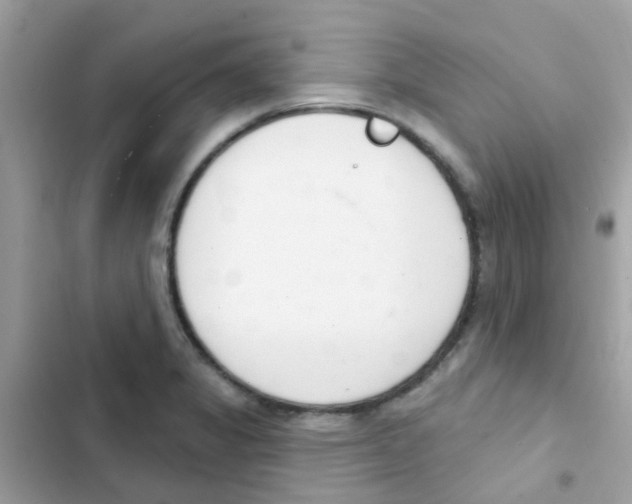 X0000103171325200809192108