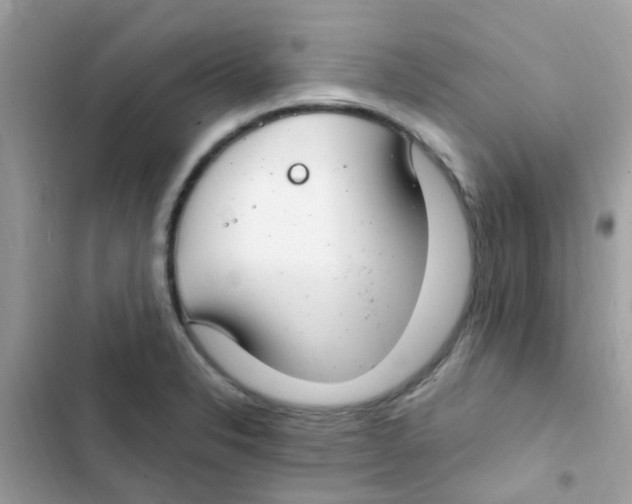 X0000103171326200809192108