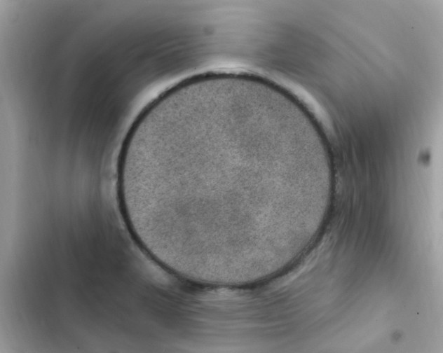 X0000103171327200809192108