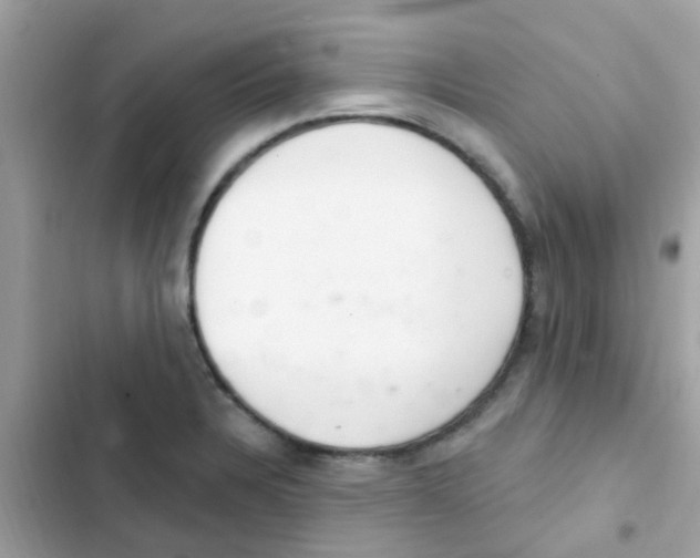 X0000103171328200809192108