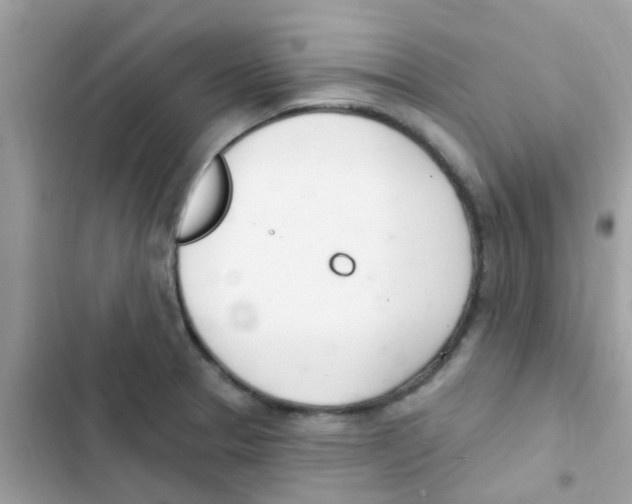 X0000103171329200809192108