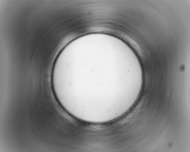 X0000103171330200809192108