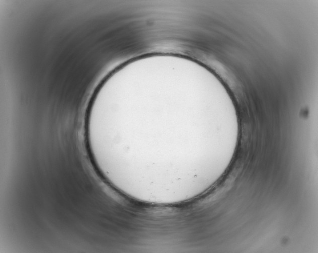 X0000103171331200809192108