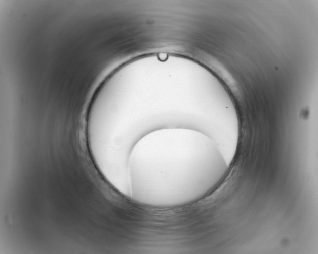 X0000103171332200809192108