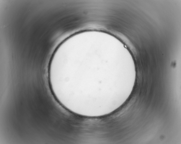 X0000103171335200809192108