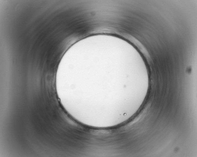 X0000103171337200809192108