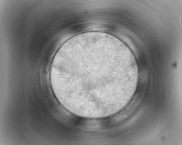 X0000103171338200809192108