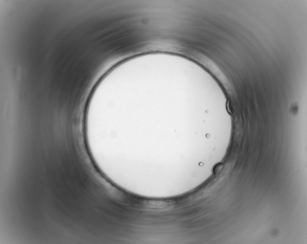 X0000103171339200809192108