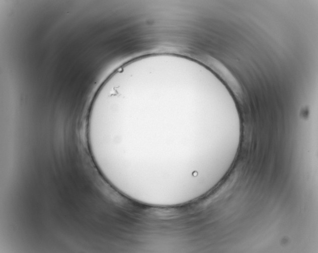 X0000103171340200809192108