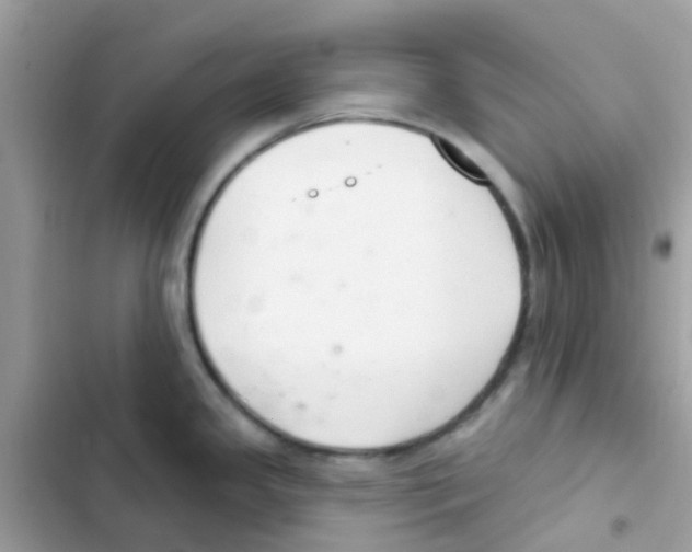 X0000103171341200809192108